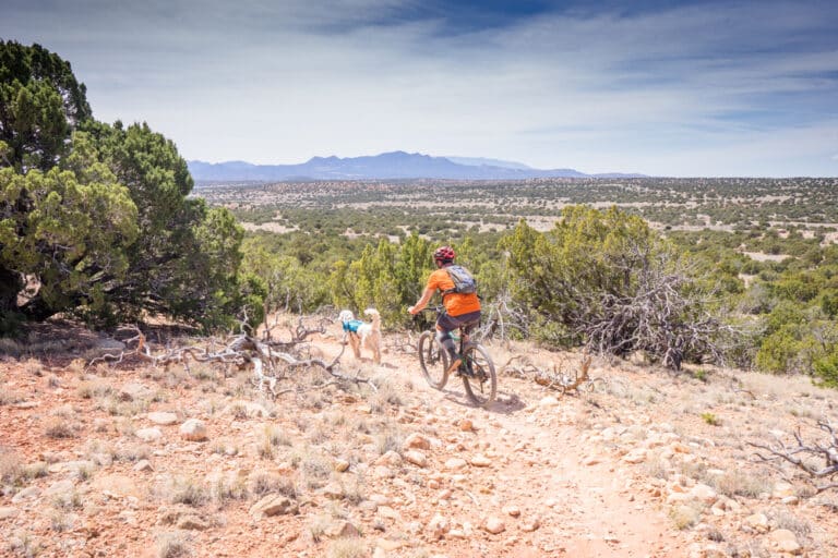 Rider in the Galisteo Preserve, a popular New Mexico mountain biking area