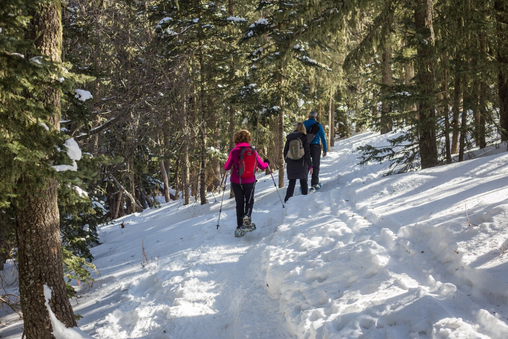 People snowshoeing through the forest is one of the best things to do in New Mexico in the winter